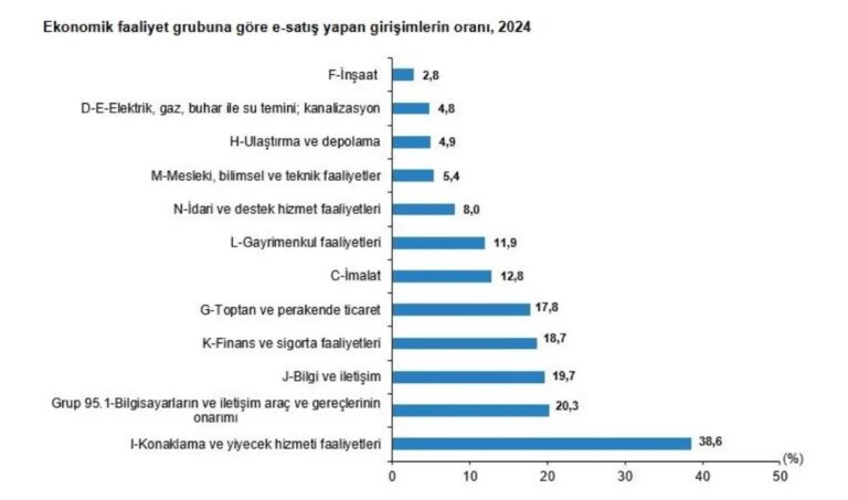2024te-e-satis-yuzde-278e-yukseldi-qZC9gkOZ.jpg