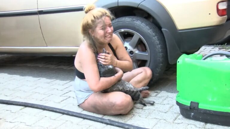atasehirde-yangin-kedi-oldu-kopek-kurtarildi-cLZ21R3e.jpg