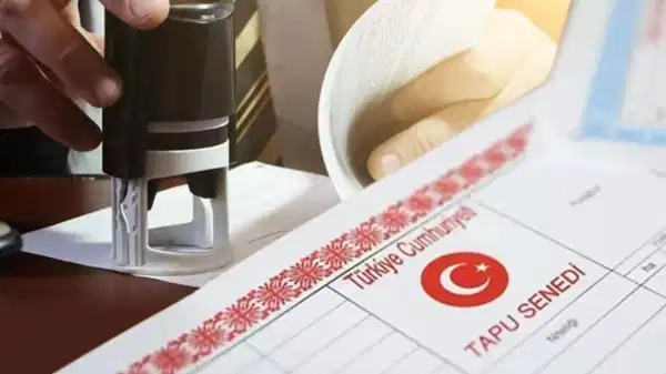 maliye-dugmeye-basti-tapuda-o-islemi-yapana-agir-cezalar-yolda-9VfE9Jtl.jpg
