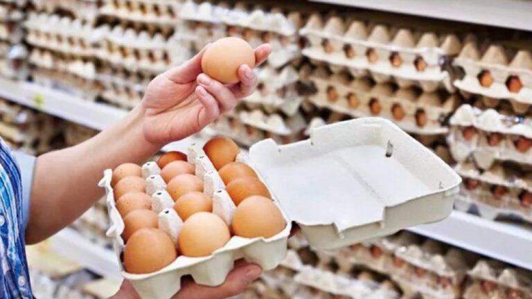 yumurta-uretiminde-alarm-zilleri-caliyor-tuketiciye-buyuk-sok-CetKtlGv.jpg