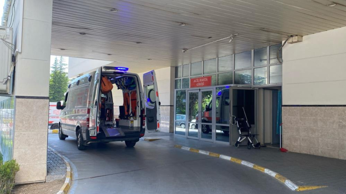 boluda deli dana vakasi xyqtvVkq.jpg