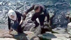 kayaliklarin arasina dustu guvenlik kurtardi kRxbshHK.jpg
