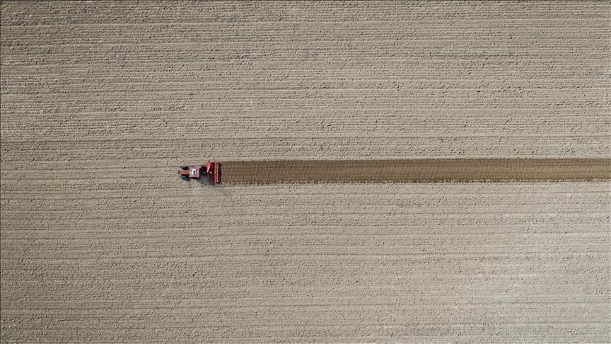 tarim ufe eylulde artti Zggf5W7N.jpg