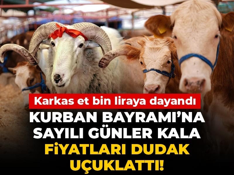 Kurban Bayramı’na Yaklaşırken Fiyatlar Yükselmeye Devam Ediyor: Karkas Et 1000 TL’yi Aştı