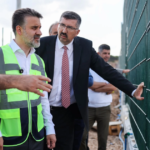Bursada sokak hayvanlari icin dogal yasam alani hQZi4Kbp